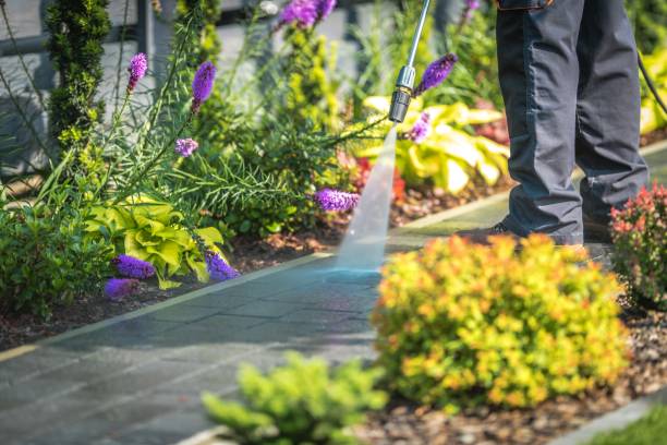 Best Pool Deck Cleaning  in North Middletown, NJ